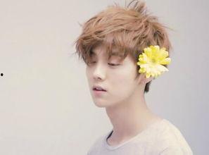 娱乐圈吃瓜鹿晗,揭秘明星背后的“吃瓜”故事